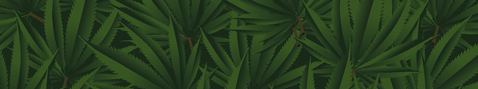 B-SC-PJ-Marijuana-2018-AB promo