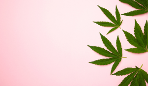 P-LP-T-Cannabis Legal Publications-2023-RW thumb