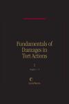 Fundamentals of Damages in Tort Actions cover