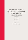 Current Issues in Constitutional Litigation: A Context and Practice Casebook cover