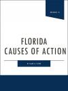 Florida Causes of Action cover