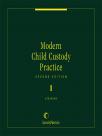 Modern Child Custody Practice cover
