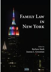 Family Law in New York cover