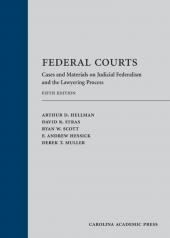 Federal Courts: Cases and Materials on Judicial Federalism and the Lawyering Process cover