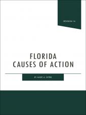 Florida Causes of Action cover