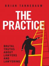 The Practice: Brutal Truths About Lawyers and Lawyering cover