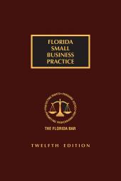 Florida Small Business Practice cover
