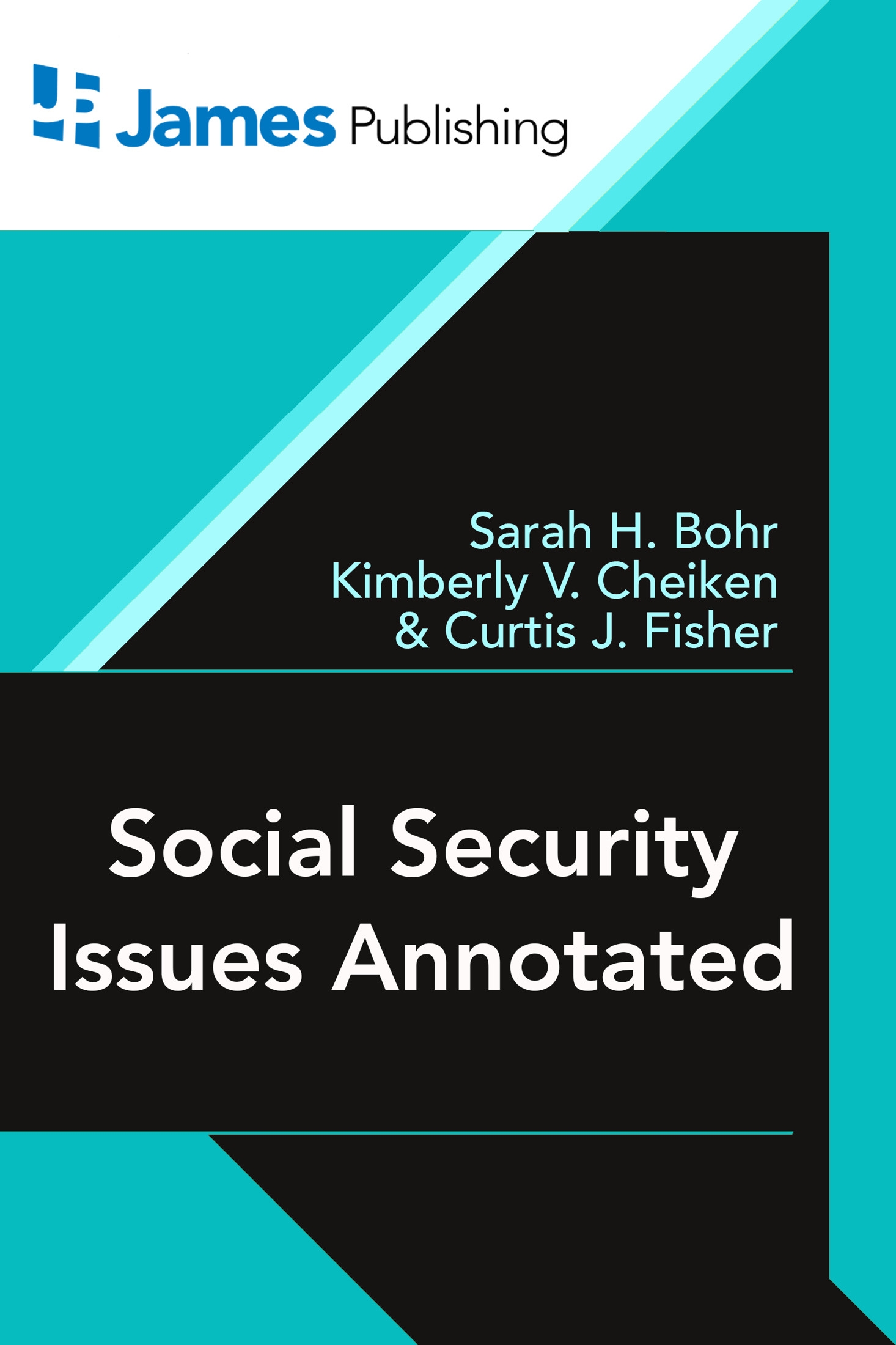 Social Security Issues Annotated