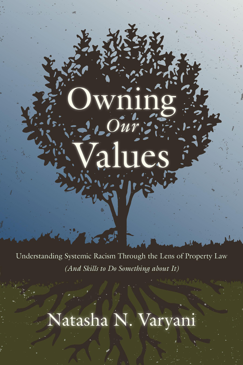 Owning Our Values: Understanding Systemic Racism Through the Lens of Property Law (And Skills to Do Something About It) book cover