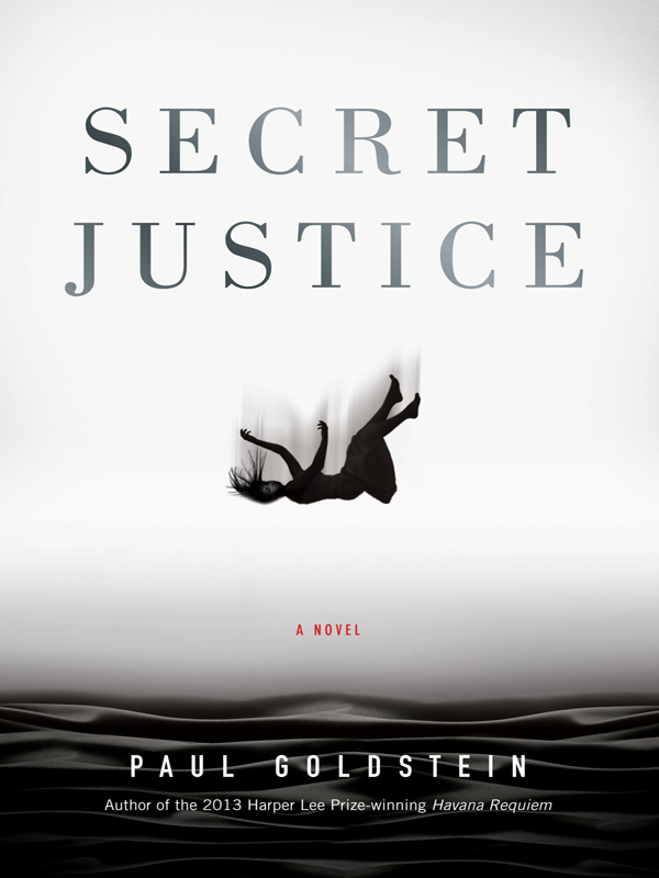 Secret Justice: A Novel