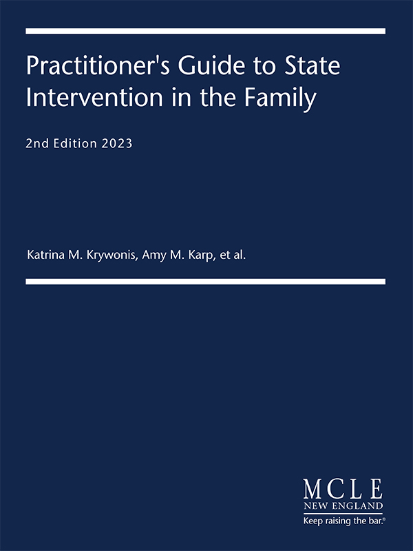 Practitioner's Guide to State Intervention in the Family book cover
