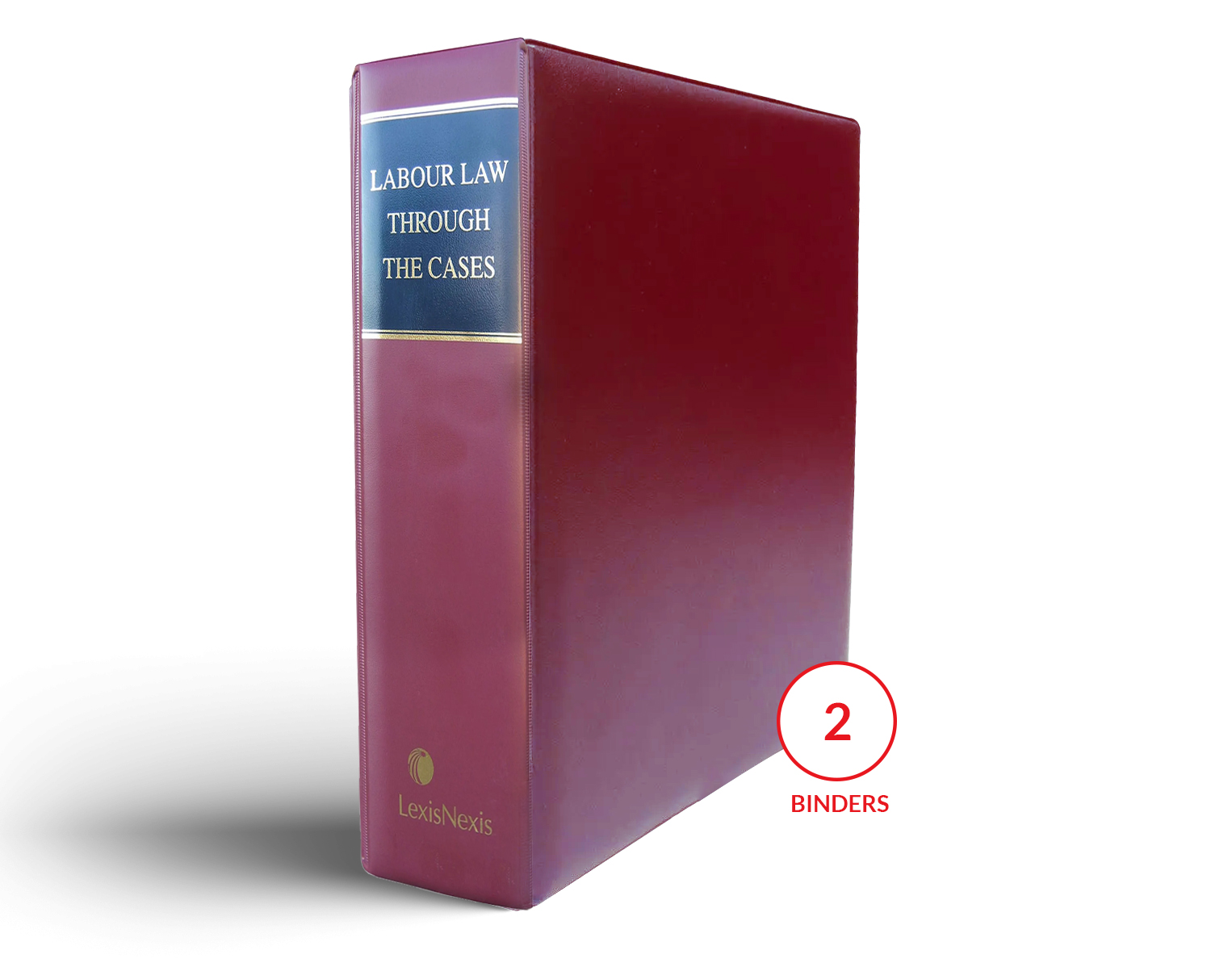 Labour Law Through the Cases